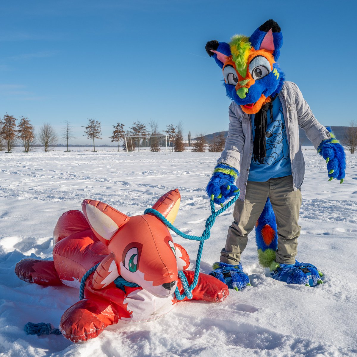 Before its to late for #SqueakySaturday I had a wonderful with Friends having fun in the Snow, me with the #inflatable Fox by #inflatableworld as Sledge ^^ #Furry #Fursuit #Squeak #inflafur Pics by @Darknetic2