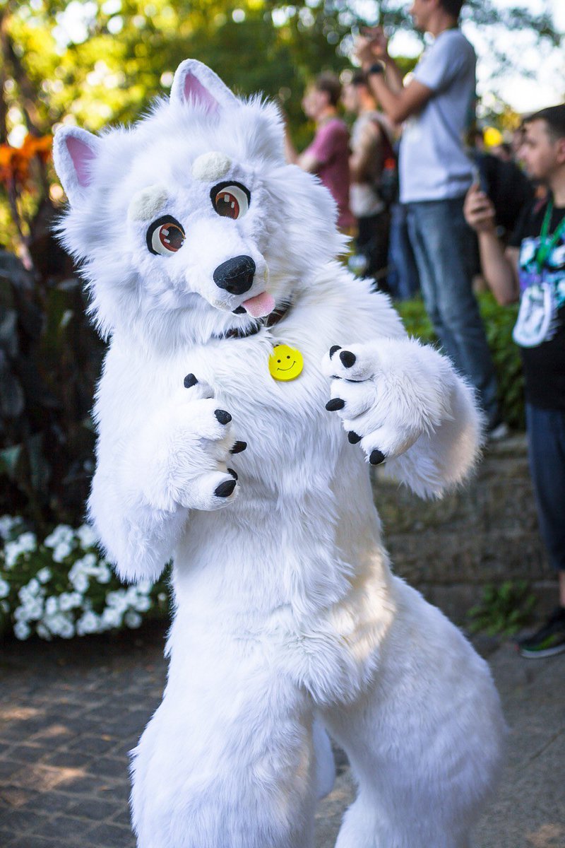 And another! From @eurofurence at #EF2023 

the fursuit walk was a blast! However, due the 35 degree heatwave I had the worst heatstroke afterwards ever 🥲 the second I took of my head I had to run to a thrashcan to throw up..

📸: Kachu