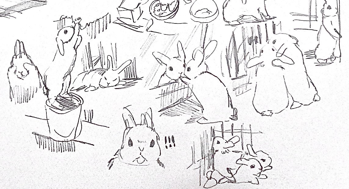 うさぎ…