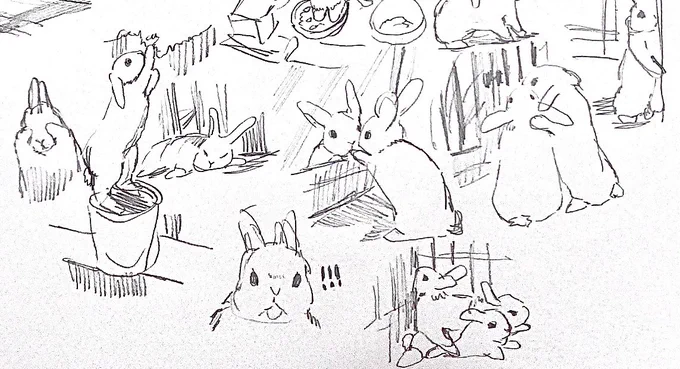 うさぎ…