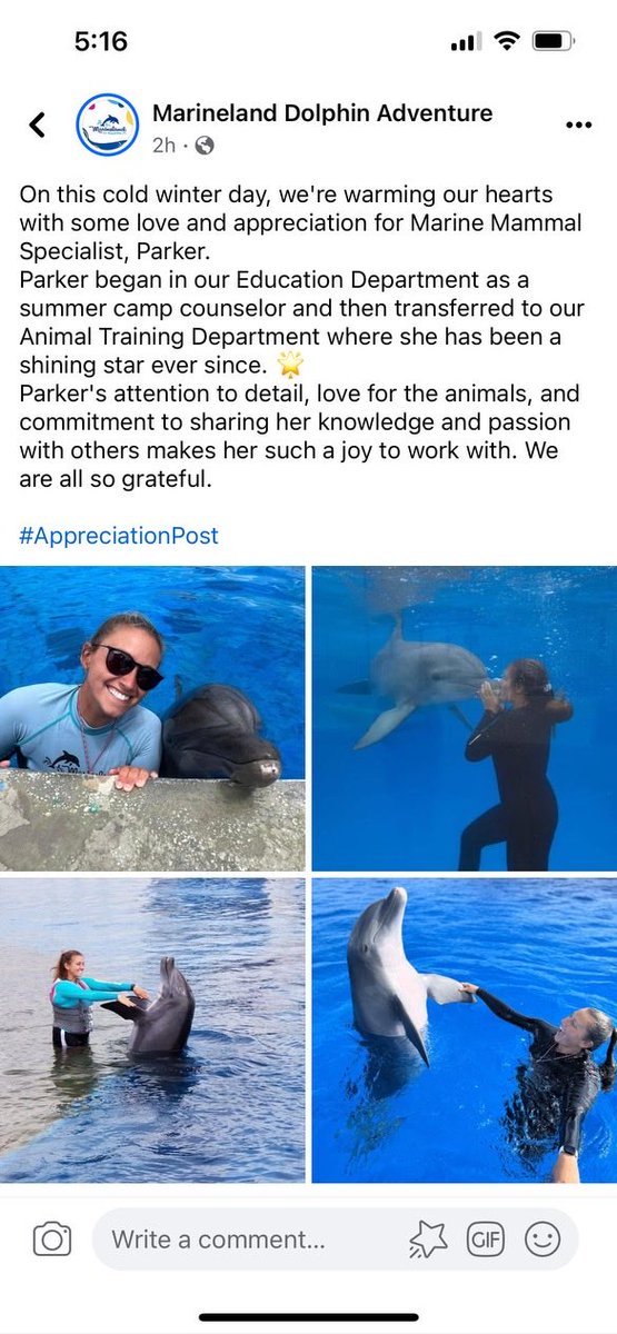 Thank you ⁦@MarinelandFL⁩ for such a sweet post!!!  #weloveparker