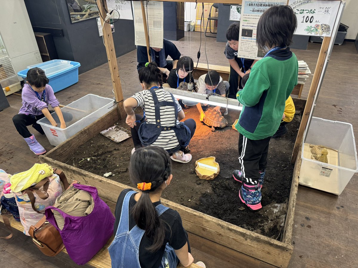 kitarepjp's tweet photo. 今日で最終日の
『1日飼育員体験』
今期も満員のご応募ありがとうございました。

たくさんの子供達に会えて
とても楽しい時間を過ごす事が出来ました^_^ https://t.co/c3O3QbYzoy