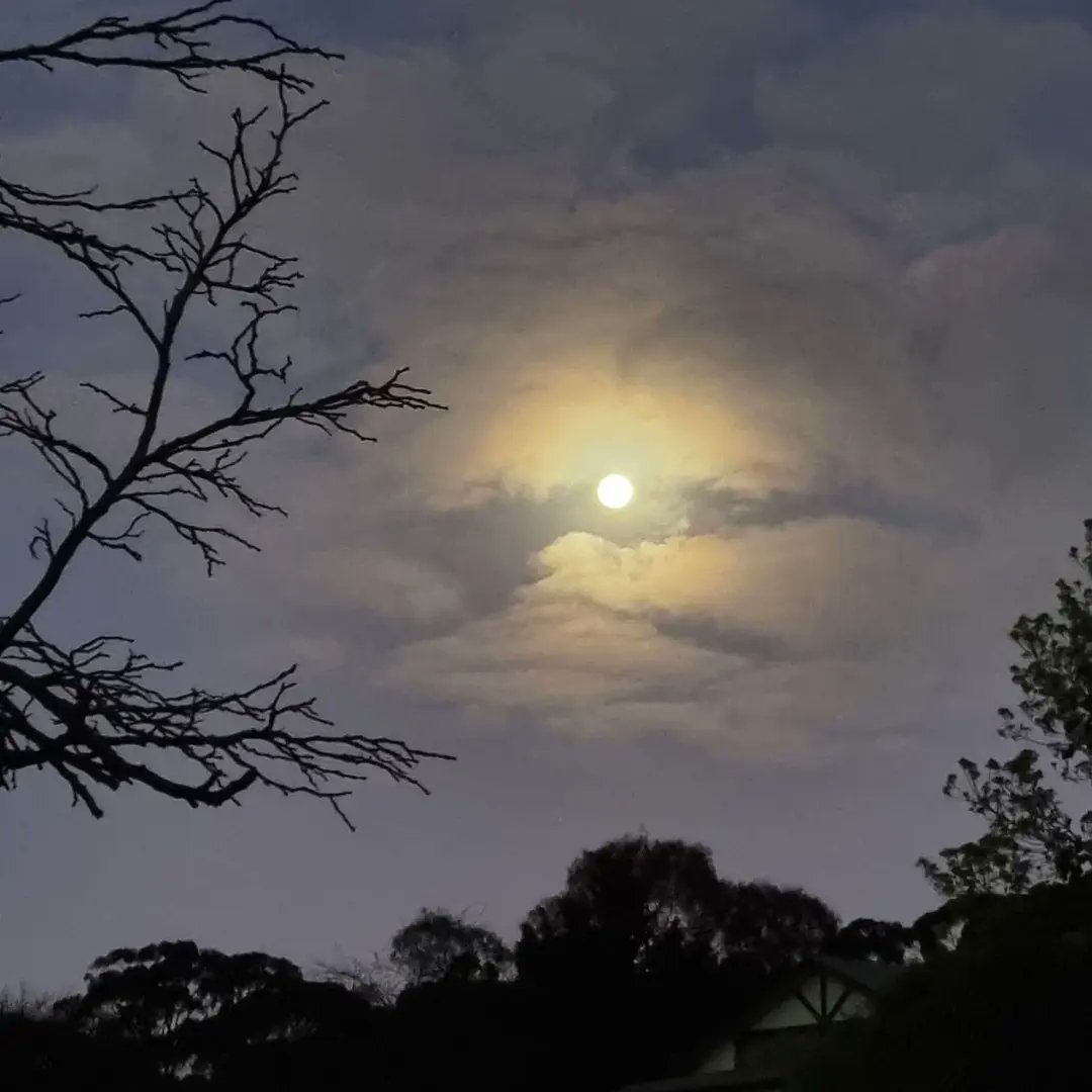 MichelleDa18196's tweet photo. Good evening ✨️💙 it's another supermoon tonight 🌕😃  This one is called a blue moon because we had two in the same month 😉😍💙🤍 #bluemoon #supermoon #goodevening #happysaturday #saturdaynight #nightphotography #night #moon #moonphotography #moonlovers #moonlight #moonrise https://t.co/X3Cl1X4ZAk