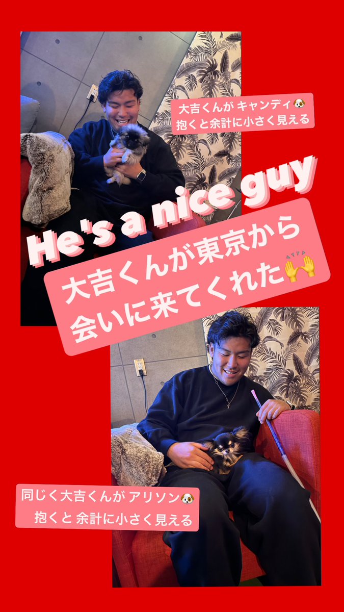 のりちゃん (@noriko_shisha) / X