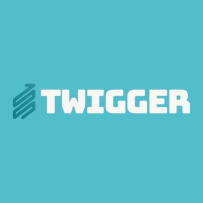 Twigger Business Solutions tweet media
