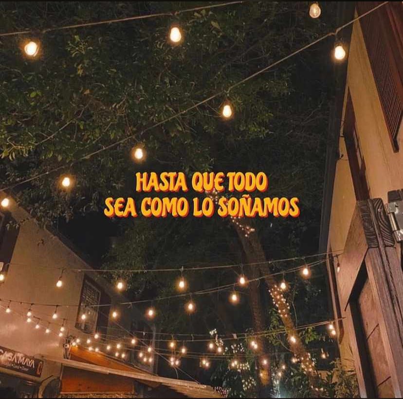 ✨