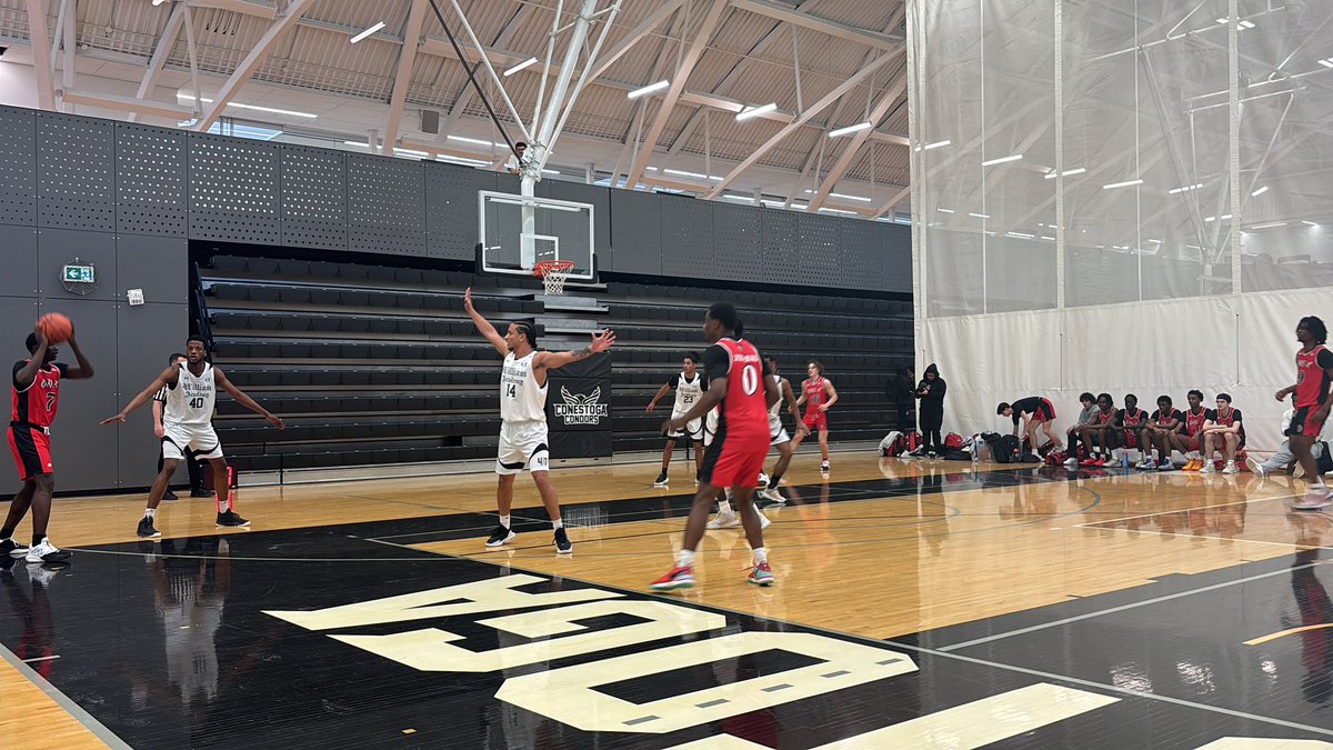 Joe Moussa tweet media