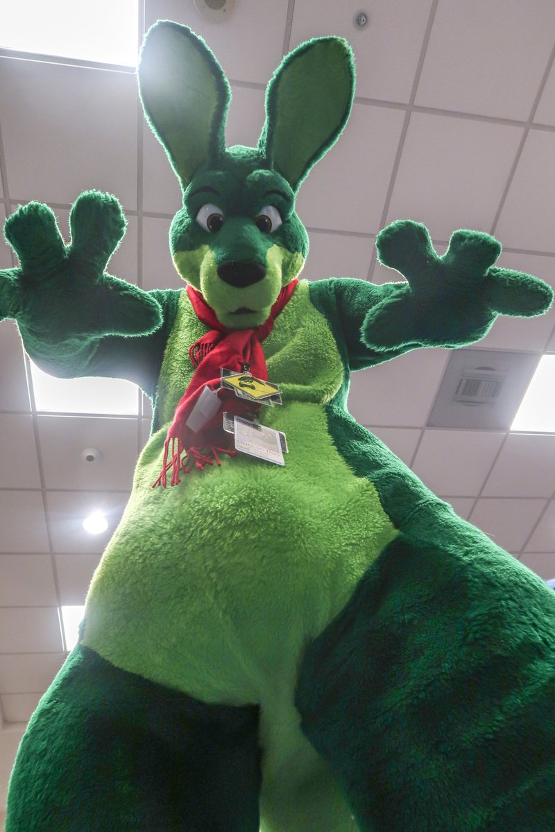 @SmellyPolar @TolpRomra @TaiyoRoo @CavendishFox @PalPrime1 @juiceps @RustledFluff @Tabernak @djfatshepherd @gil_otter @drakoknight Found the big boss roo @duncanroo