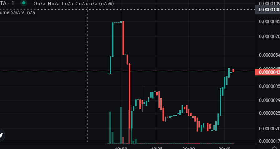 $VITA 🦴 tweet media