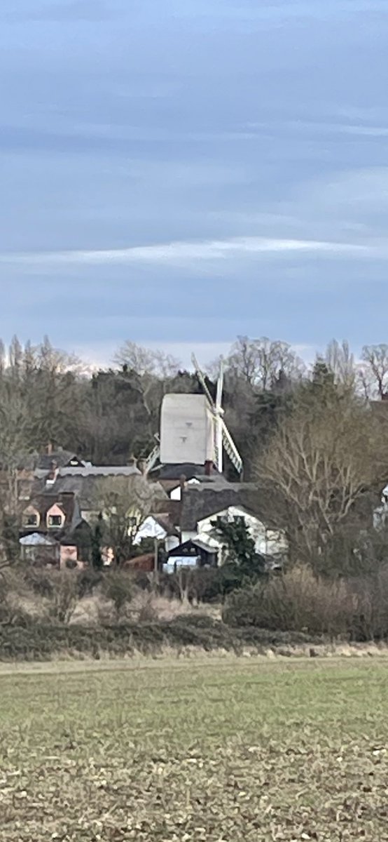 Brisk four mile walk this afternoon with the lunatic #Lucasterrier  Smiley ice on the field puddles,hedges alive with chuckling Fieldfares and the first Aconites of spring.
