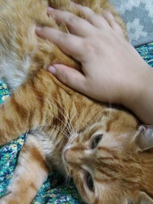 I'm a Black Native disabled person and I'm crashing with a friend after fleeing abuse. I need to raise money for an apartment before I end up on the street.

C*shApp: $genebaggins
V*nmo: @ Gene-Tabak
P*yPal: paypal.me/othersurrealit…
ko-fi.com/acornapplique

#SettlerSaturday