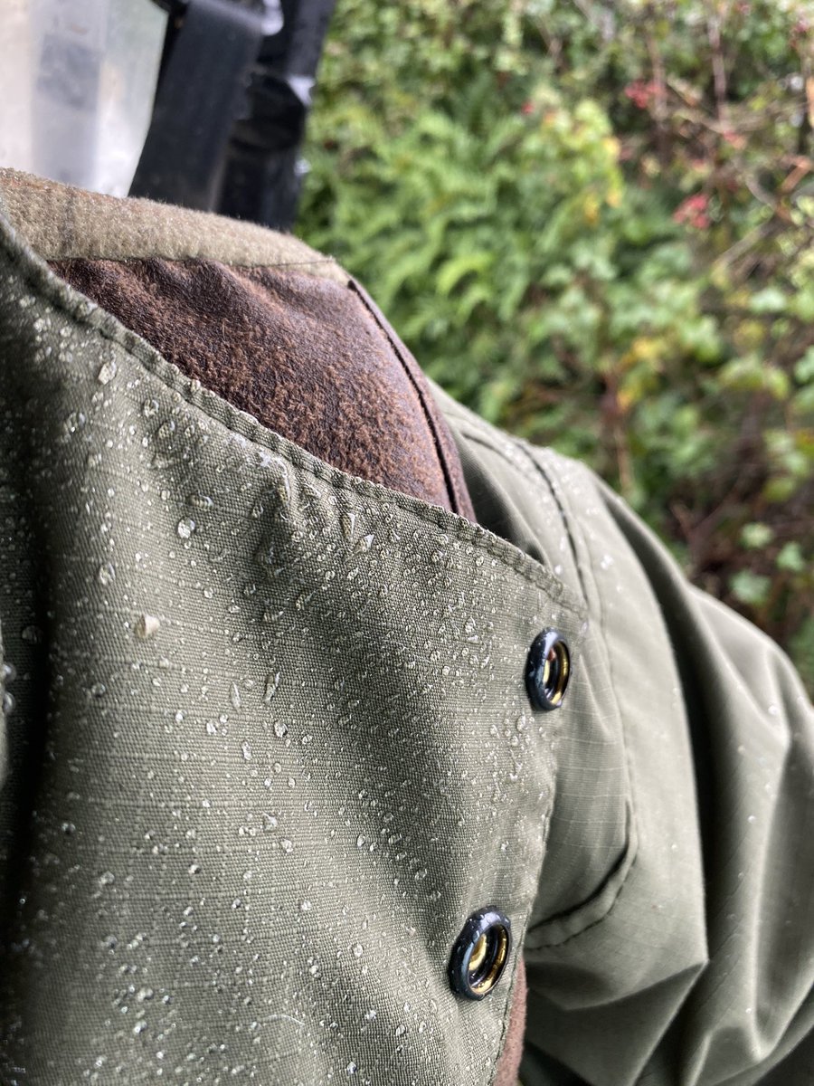 Change in the #weather overnight and it’s back to a @Fortis_Clothing kind of day! #pheasants #shooting #NorthWales @jessica_jones75