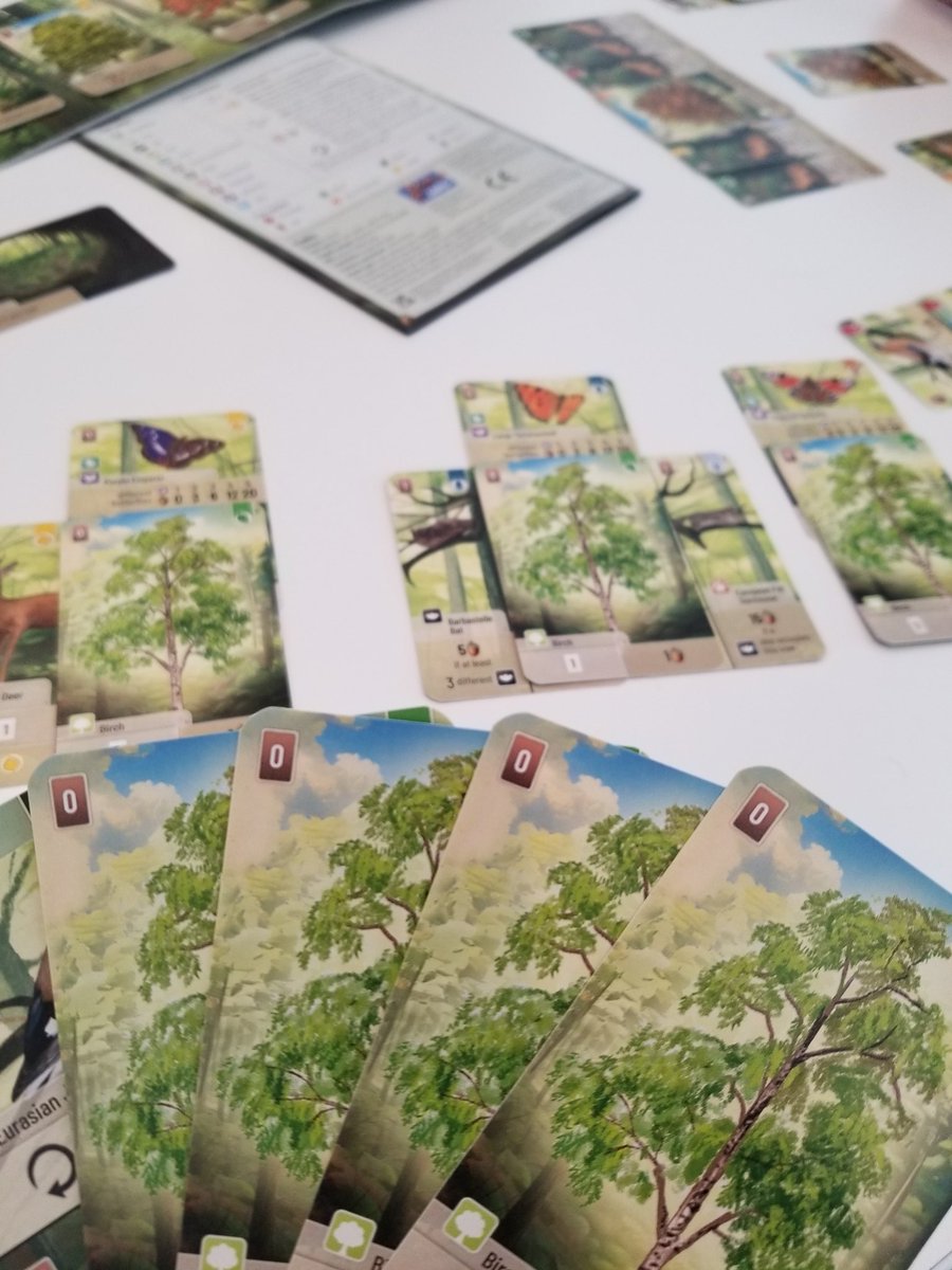 varianthex's tweet image. An absolute plague of birch trees in our first play of Forest Shuffle 🌳🌳🌳🌳🌳