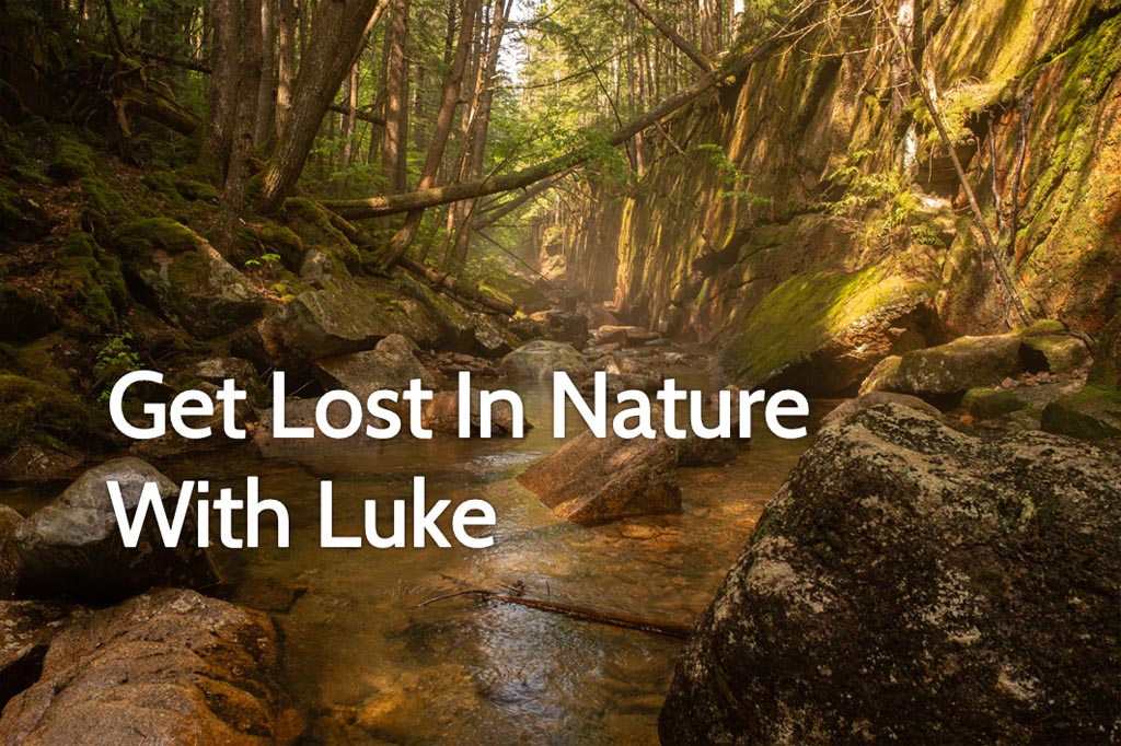 specializing in non-gaming VR reviews

Get Lost In Nature With Luke
4⭐ PCVR • Link • Rift • Free • Travel
libraryofrealities.com/2024/01/get-lo…

#VirtualReality #VR #PCVR #OculusRift #Travel #Nature #Outdoors #Photogrammetry #NewHampshire #Massachusetts #NewYorkState #RhodeIsland