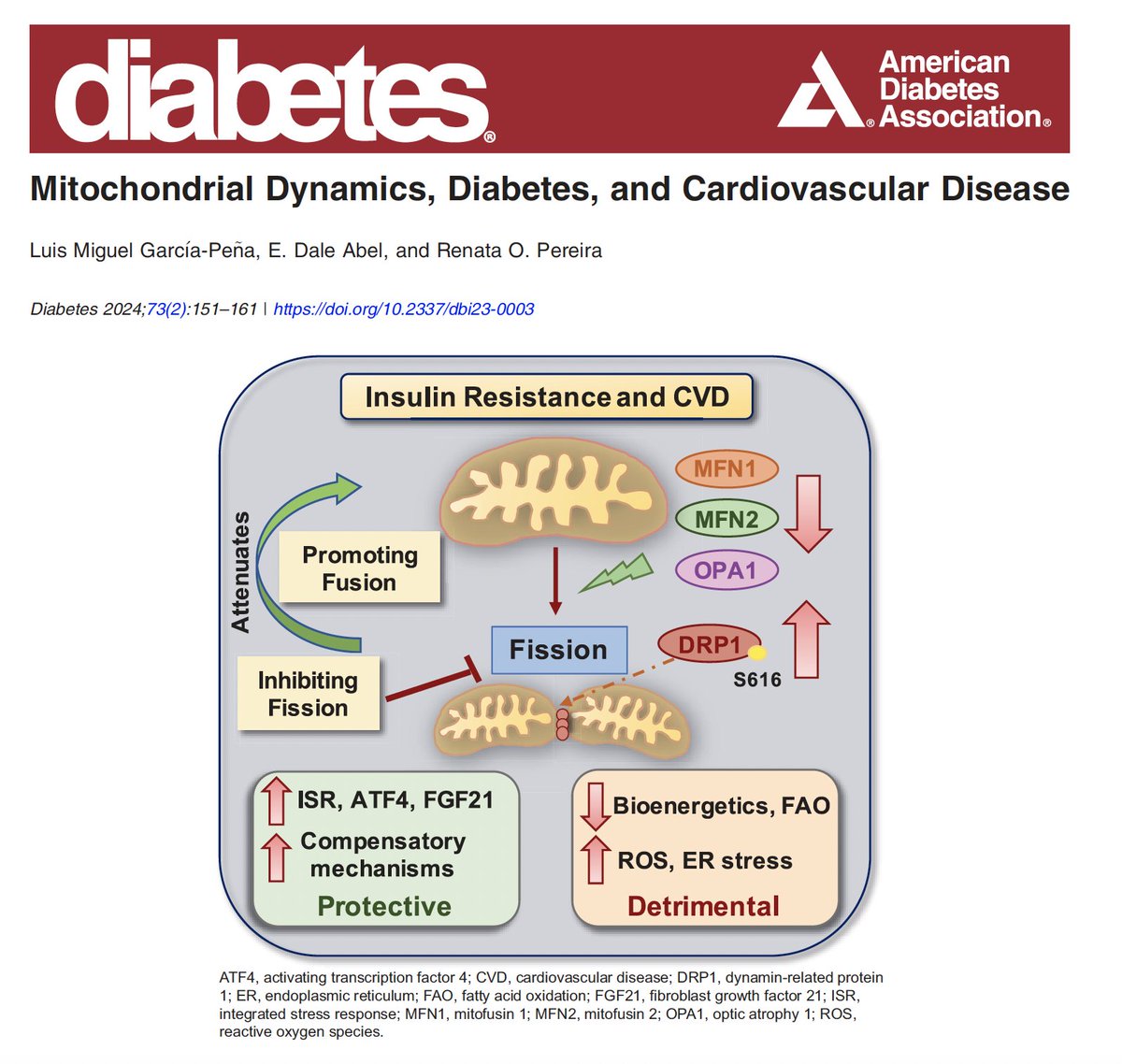 diabetesjournals.org/diabetes/artic…