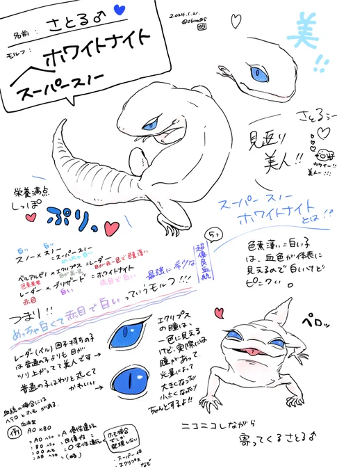 レオパのさとる描けました!!!!!!! オタクのキショ語り!!!  ※爬虫類化 ※はちゅ五