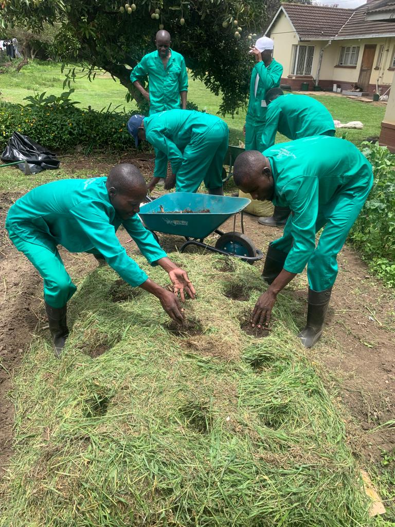 shiftorganics's tweet photo. Teach them to do it the efficient way. @DWAZimbabwe https://t.co/7xxTEElbIG