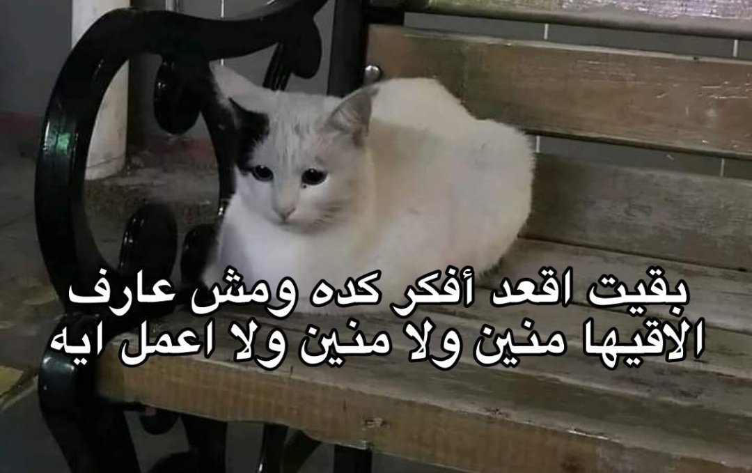 True Memes (@truememes_) on Twitter photo 