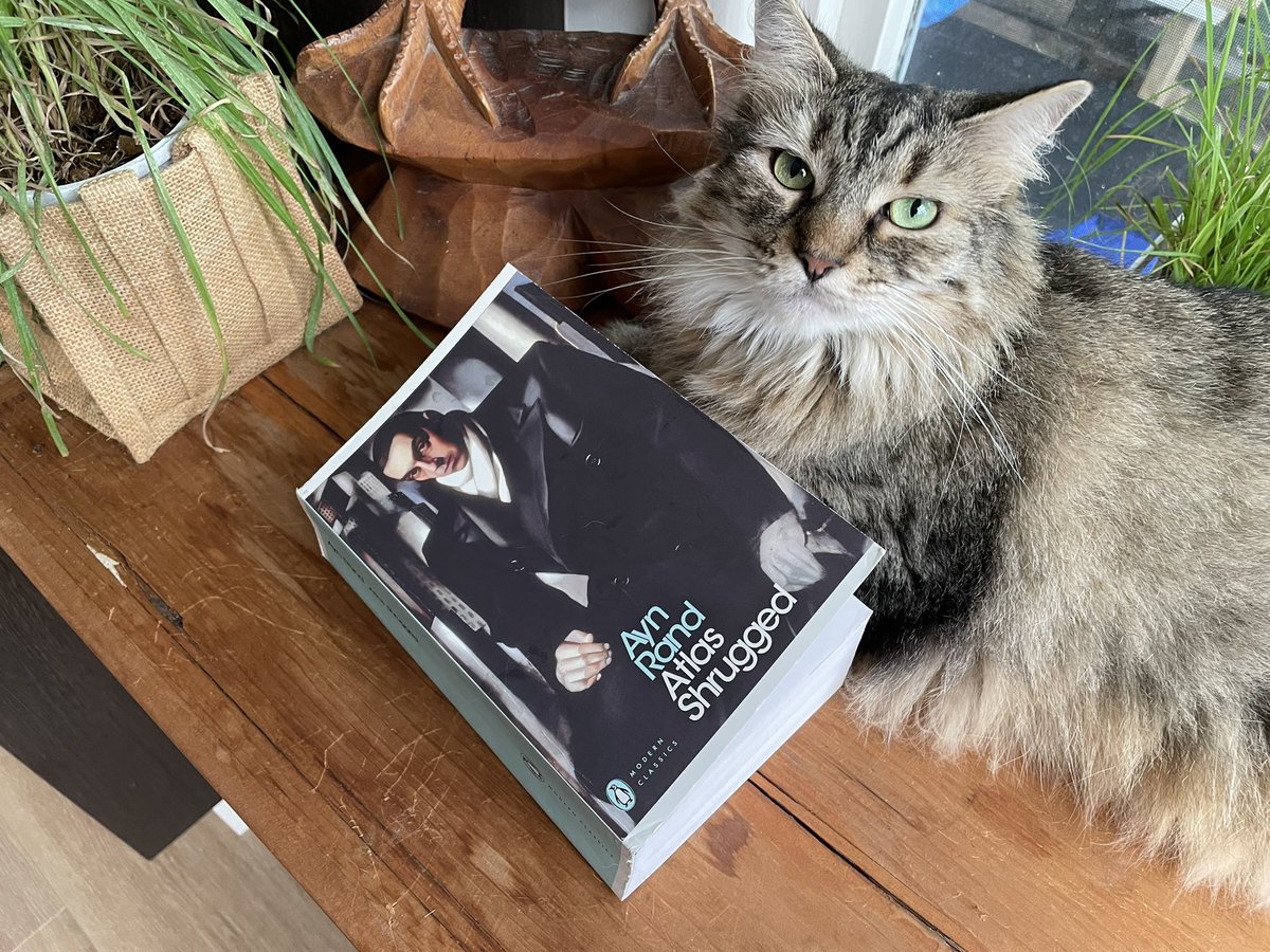 TeamHouseHunter's tweet photo. @justthink1 Some garden others read #sucker 🙀😹 https://t.co/fRnLX5a6lC