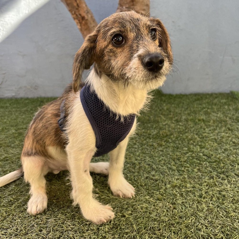 Chastity Vicencio tweet media