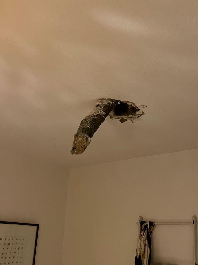 “This came through my ceiling during the ice storm”