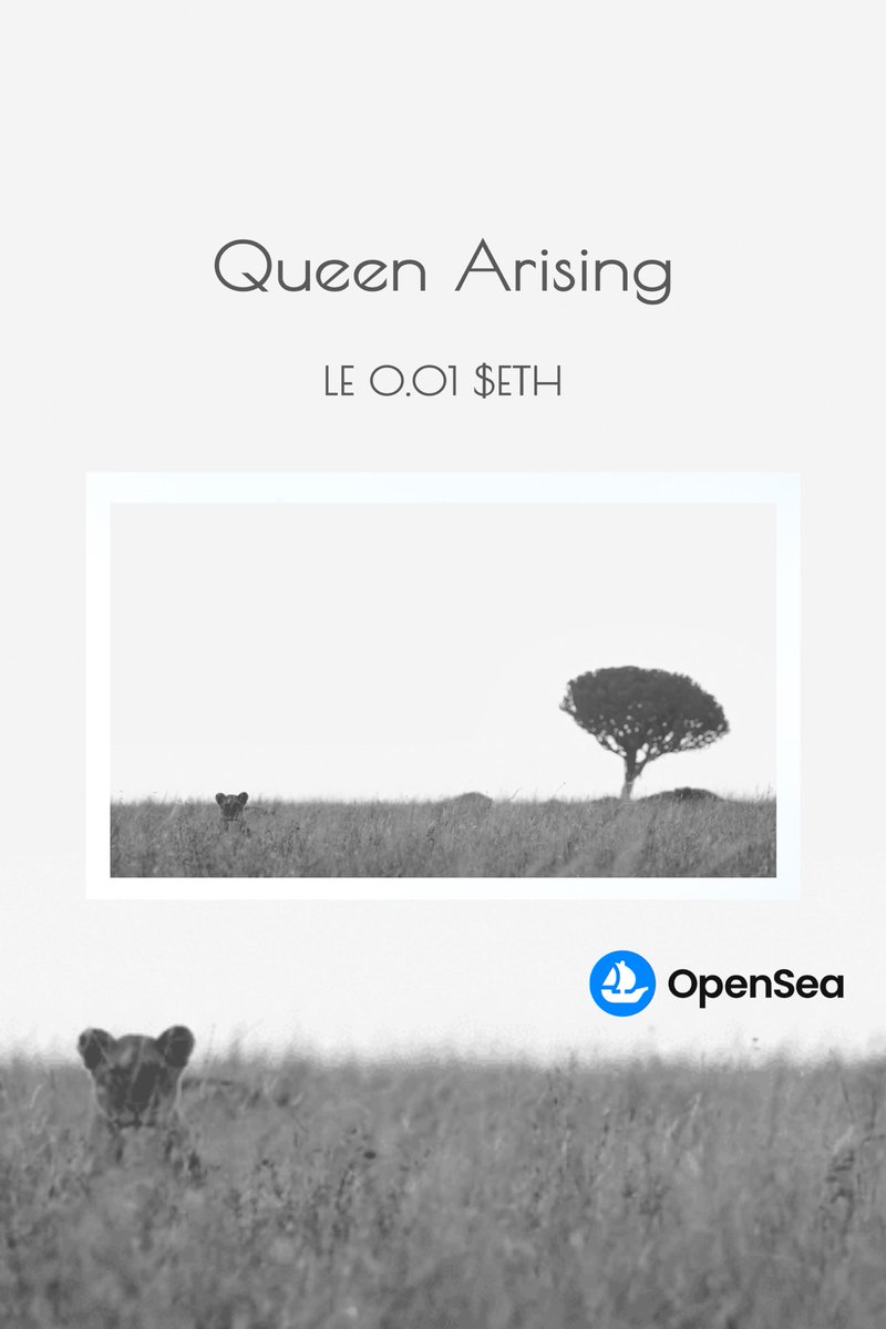 Nomadic Frame tweet media