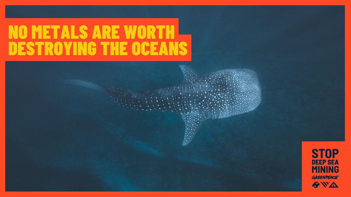 Greenpeace's tweet image. We know more about the surface of the moon than the deep sea but some companies want to destroy it for profit.

Add your voice to the global movement to #StopDeepSeaMining ✍️
greenpeace.org/international/…