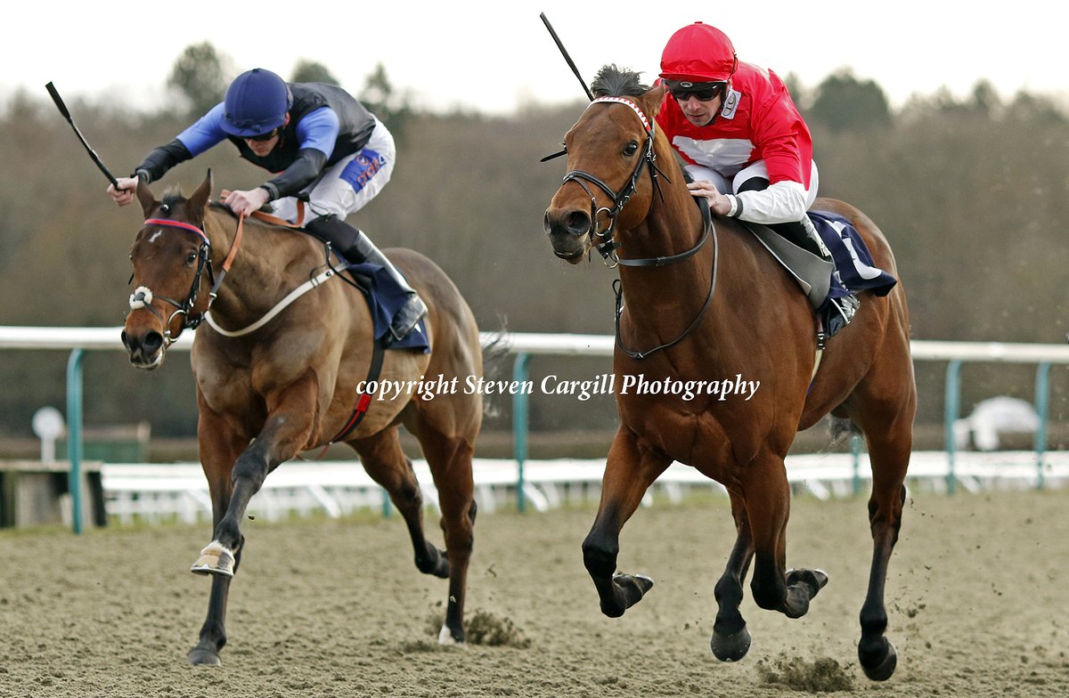 2nd win for colt PHOTOSYNTHESIS @Mitchelljack77 in 6f 3yo handicap @LingfieldPark today for @Mantonstallions Aclaim @tomcloverracing