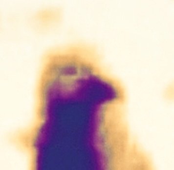 UFO13001's tweet photo. https://t.co/JkthdEdivP