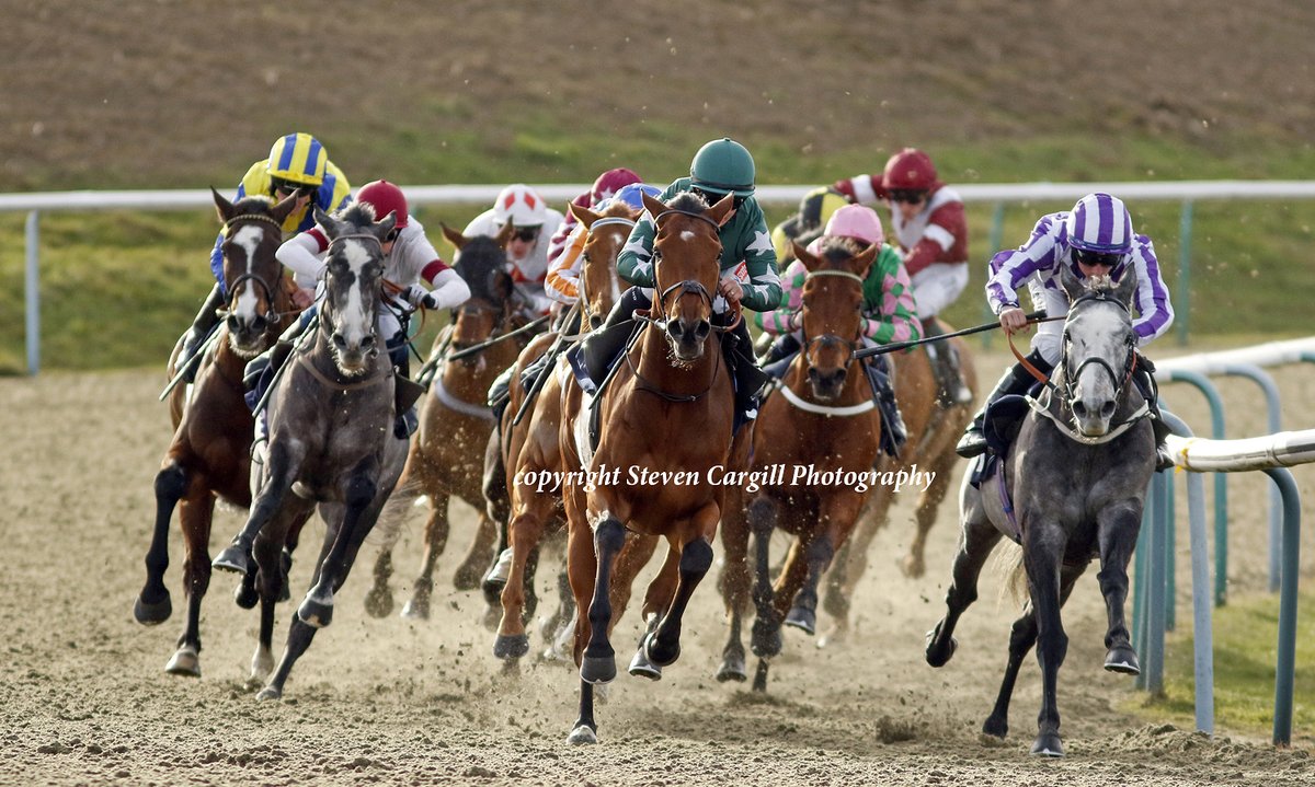 4th win for 4yo g RAINTOWN (Outstrip) @davidprobert9 in 12f handicap @LingfieldPark today for @stanmooreracing