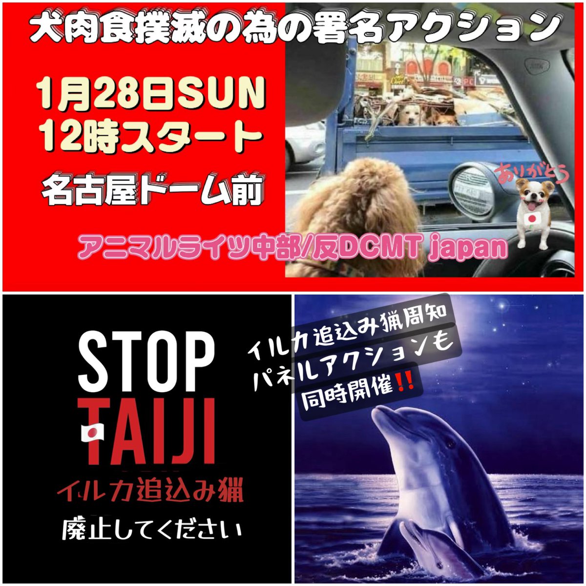 1月28日SUN🌕犬肉反対署名活動🐶名古屋ドーム前開催❣️12時スタート

犬肉問題パネル展と同時に、イルカ追込み猟周知のパネル展も開催します🐶🐬✨チラシも配布します✨参加者募集なう💖

27日SATはinstagramにてフォトアクション🌟右下画像を使用🐬ハッシュタグは #STOPTAIJI  #イルカ追込み猟廃止