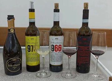 It’s the first South American cabernet franc to receive 100 points, representing not only great value but also Argentina’s unwavering dedication to producing top wines from extreme, high-altitude terroirs. Read more: jamessuckling.com/wine-tasting-r…