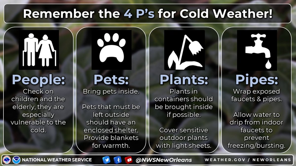 It's another night of cold temperatures - take some time beforehand to protect the 4 Ps - people, pets, plants, and pipes! Make sure everyone is warm, and if you are in a hard freeze warning, make sure to wrap exposed pipes and let a small drip from one indoor faucet. #LAwx #MSwx