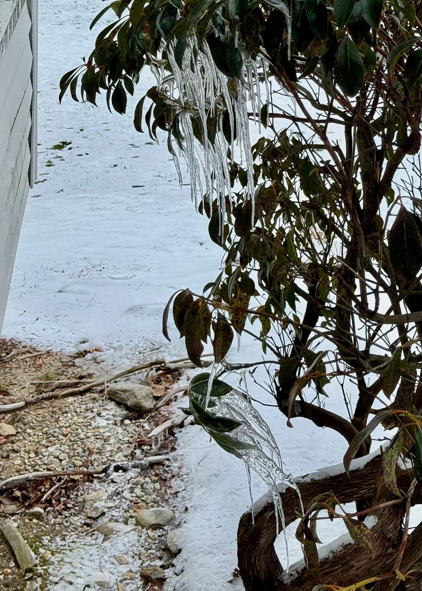 mchesner's tweet photo. The #winter winds were deflected away from our house and thus bent these icicles as they formed. 

#arcticvortex #ctweather #ctwx #TrumbullCT https://t.co/isoz6jbDI0