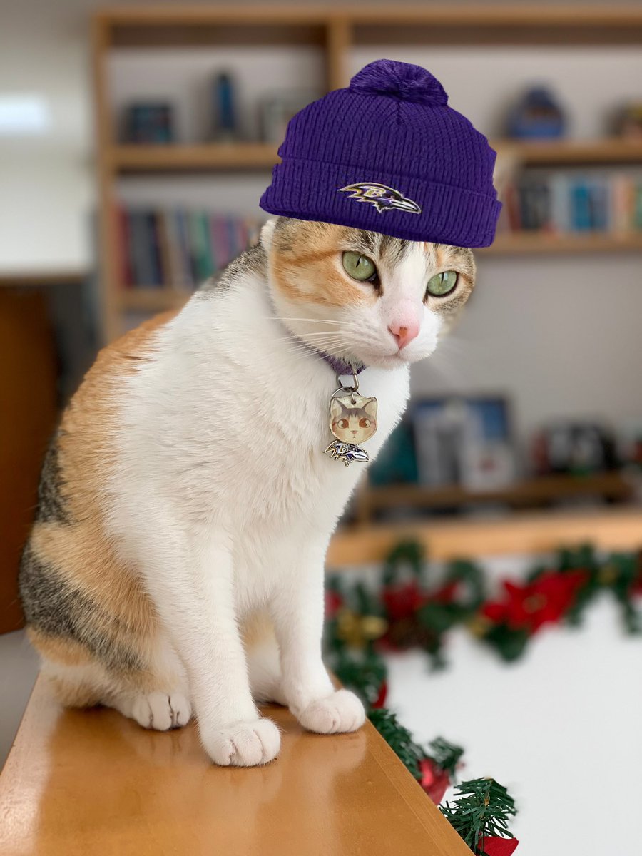 Willow en #TuPaseCompleto