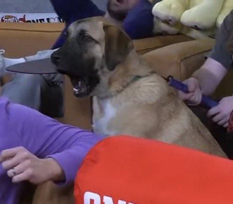 Pardon My Take (@pardonmytake) on Twitter photo 