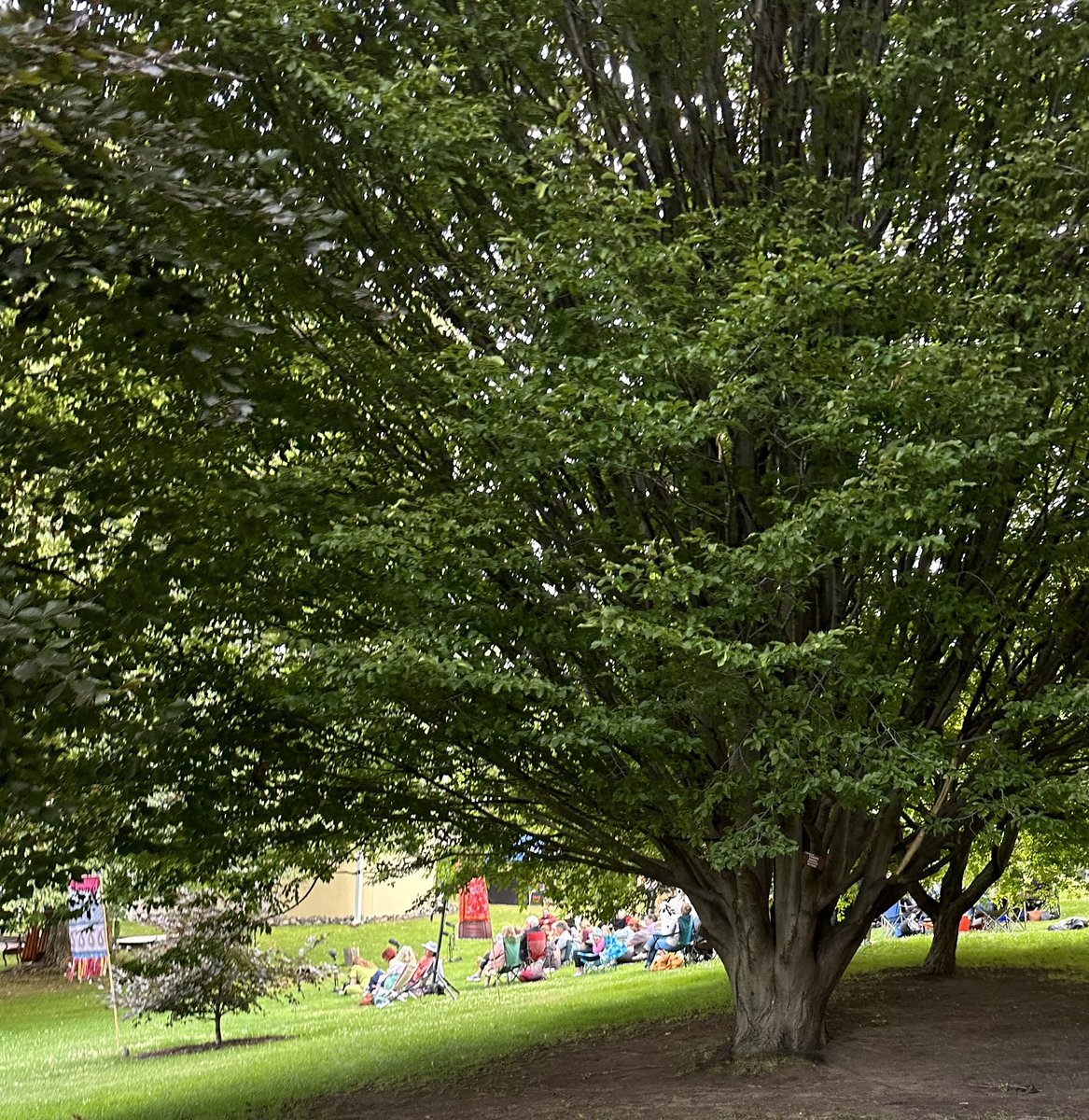Gorgeous way to enjoy Hobart’s summer: As You Like It, directed by Roger Hodgman, at the Royal Tasmanian Botanical Gardens until 27 Jan 🎭