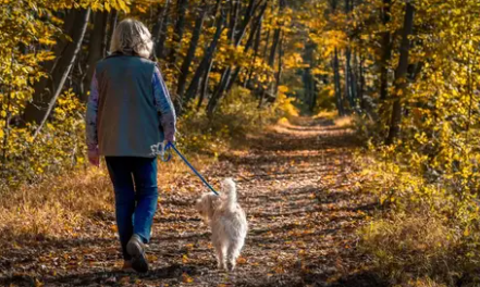 Dog walkers' warning as meat found 'stuffed with pills' on popular walking route mirror.co.uk/news/uk-news/d…