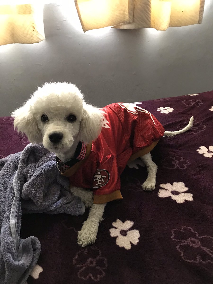 danone102's tweet photo. #TuPaseCompleto go niners! https://t.co/lTFazFMoC8