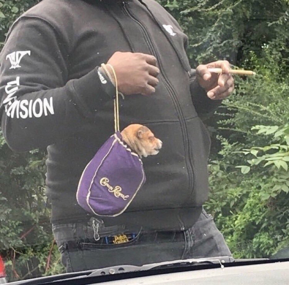 i need to be carried around like this