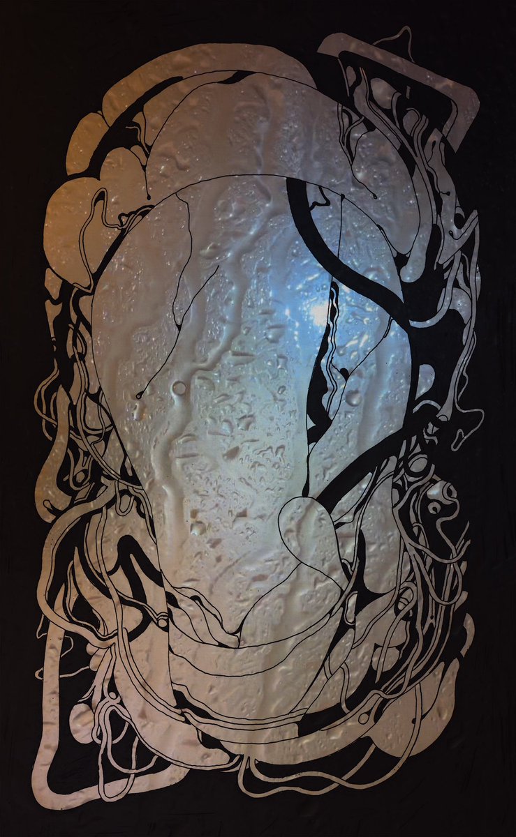 Connor Willumsen tweet media