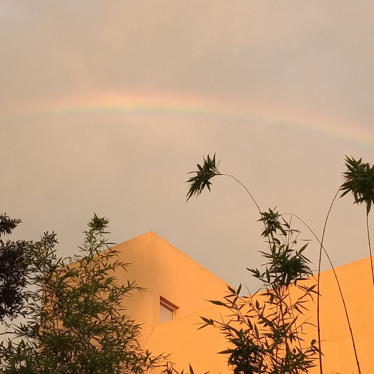 El arcoiris es tan maravilloso cómo efímero..
por eso vale la pena disfrutarlo.

Aplica para la Vida.

martinpaique.com
