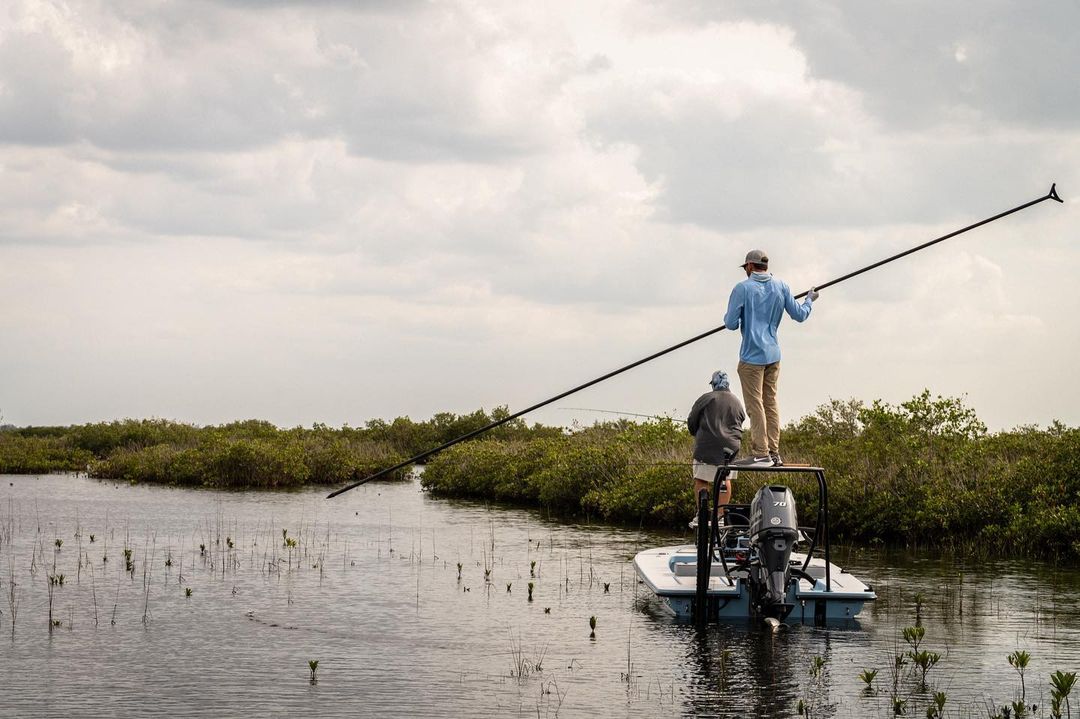 WAYPOINT tweet media