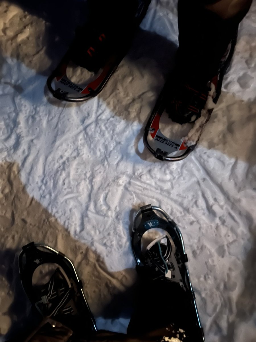 katabatickatie's tweet image. Went snowshoeing last night at Mitchell State Park - Heritage Trail. the forest was lit with lanterns and my favorite was the moonlight making the snow silvery. So enchanting for a crisp, winter night! #MiStateParks