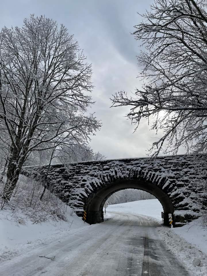 Candace House tweet media