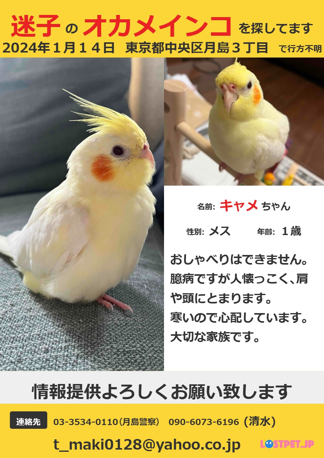 にゃんまるコイン（NYAN）とは？概要から将来性・買い方まで画像