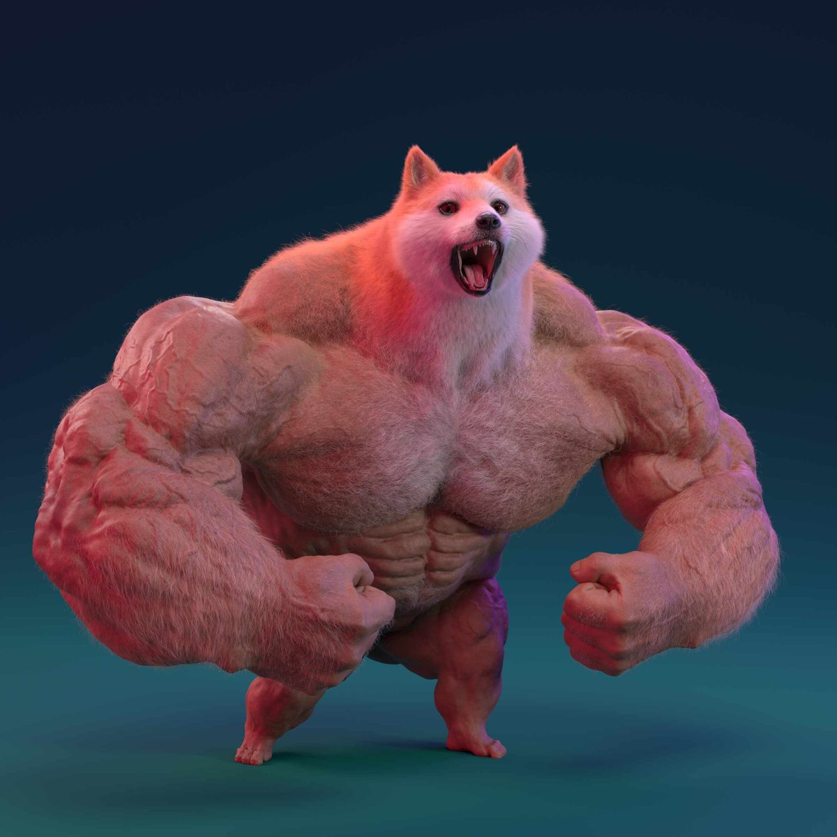 OOOOOOH $DOGE ripping. 

THANK YOU <a href="/X/">X</a>