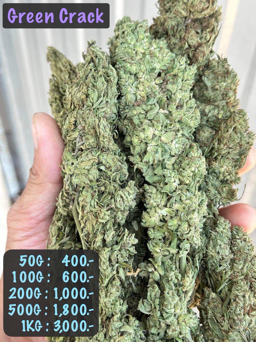 Hempshop2020's tweet photo. Green crack มาแล้วจ้าา🍀
50G: 400.-
100G:600.-
200G:1,000.-
500G :1,800.-
1KG :3,000.-
หัวหินส่งแกรปได้
Line ID:  @575briih (มี@ข้างหน้า
กดลิ้งแอดไลน์👉 https://t.co/7bWJadQLcK
#กัญชาอัดแท่ง #ขายกัญชา #กัญชาโอจี  #กัญชาออแกนิค #กัญชากรุงเทพ #กัญชาหัวหิน  #huahin #พันลำ #พันลำog https://t.co/4SviptpMBL