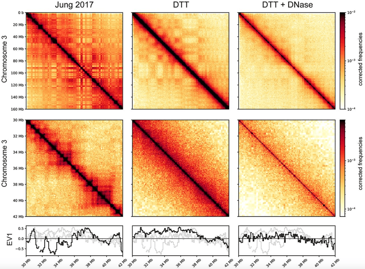 #newscience alert! Most previous studies of sperm chromatin were contaminated!!!!! @ollie_rando @job_dekker <a href="/bruce_yin1991/">Qiangzong Yin</a> in <a href="/genomeresearch/">Genome Research</a> carefully remove cell-free chromatin to reveal distinct DNA packaging patterns not seen before pubmed.ncbi.nlm.nih.gov/38129076/