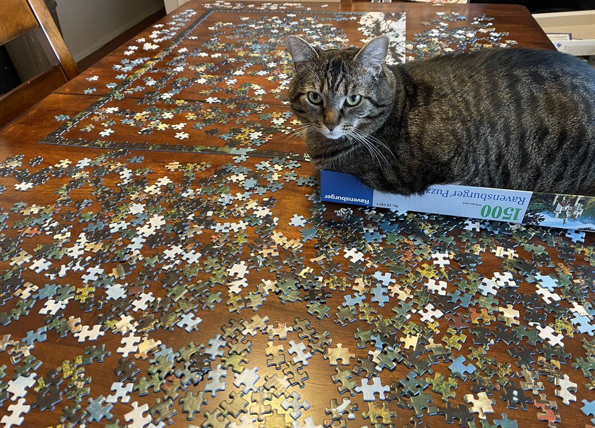 As puzzle supervisor, I recommend a 2000 piece next time. This box is too small! 🧩 #puzzle @RavensburgerNA #RainyDayFun #Caturday #CatsOnX